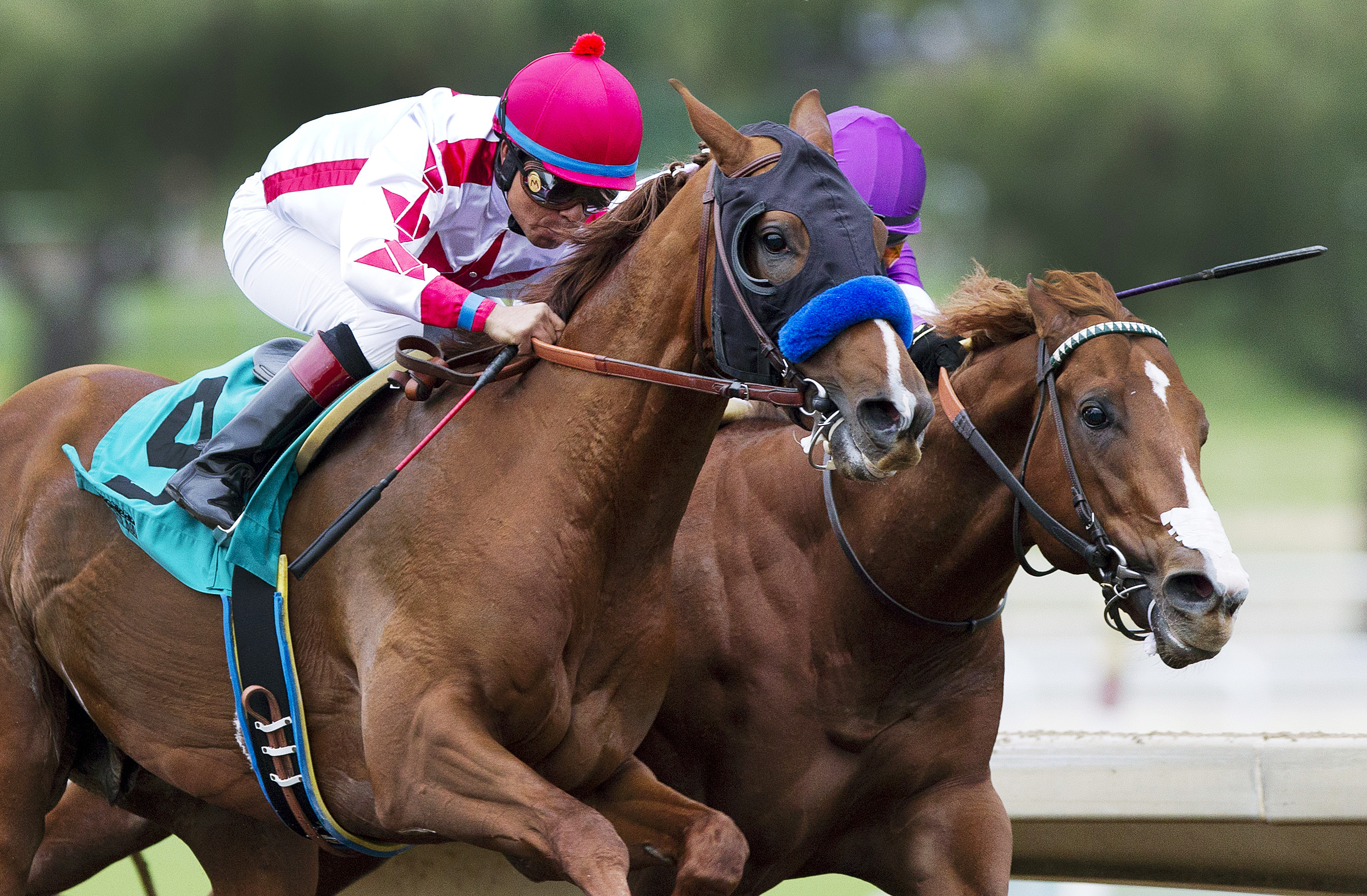 Collected wins the Sham Stakes