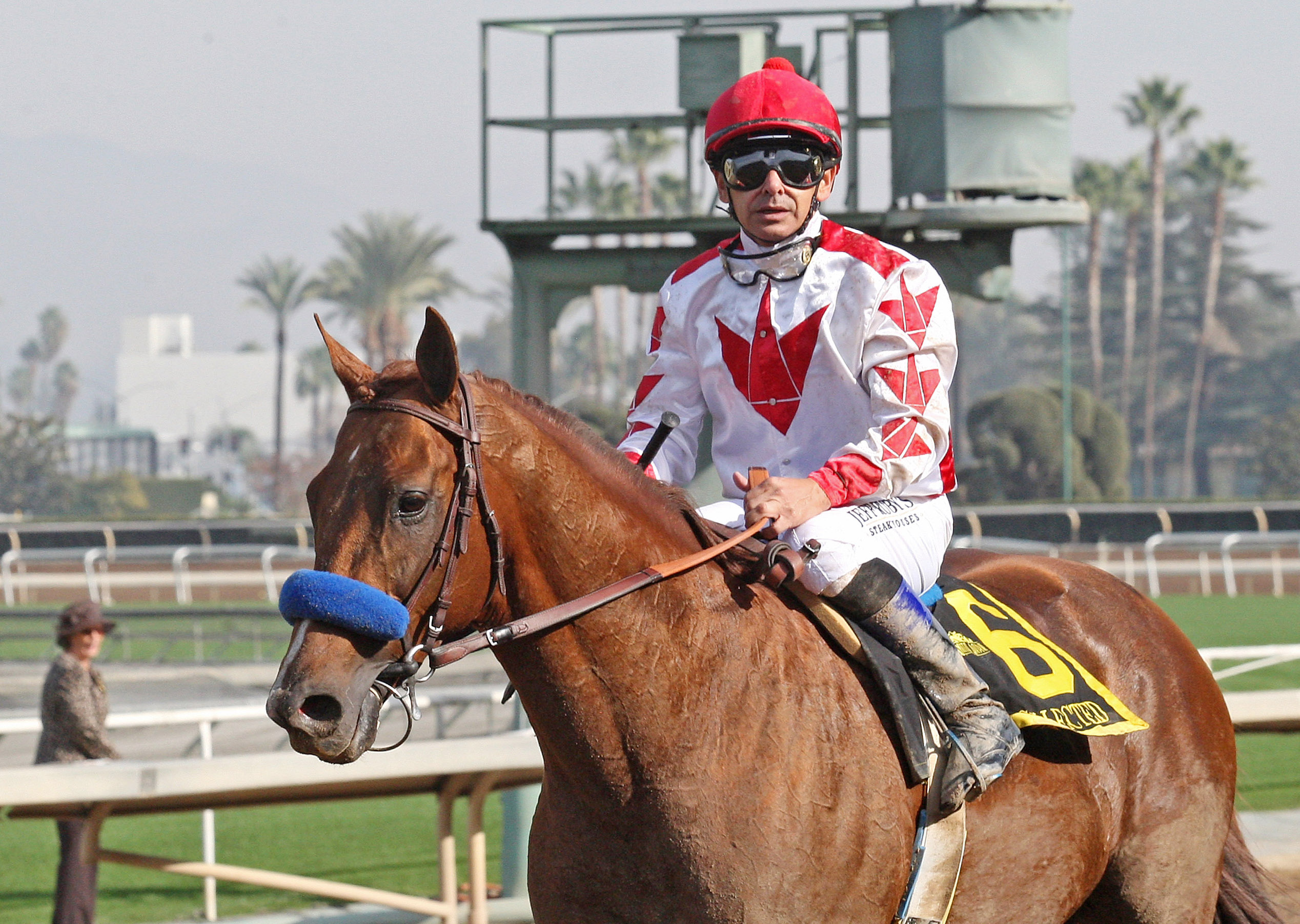 Collected after the San Antonio Stakes