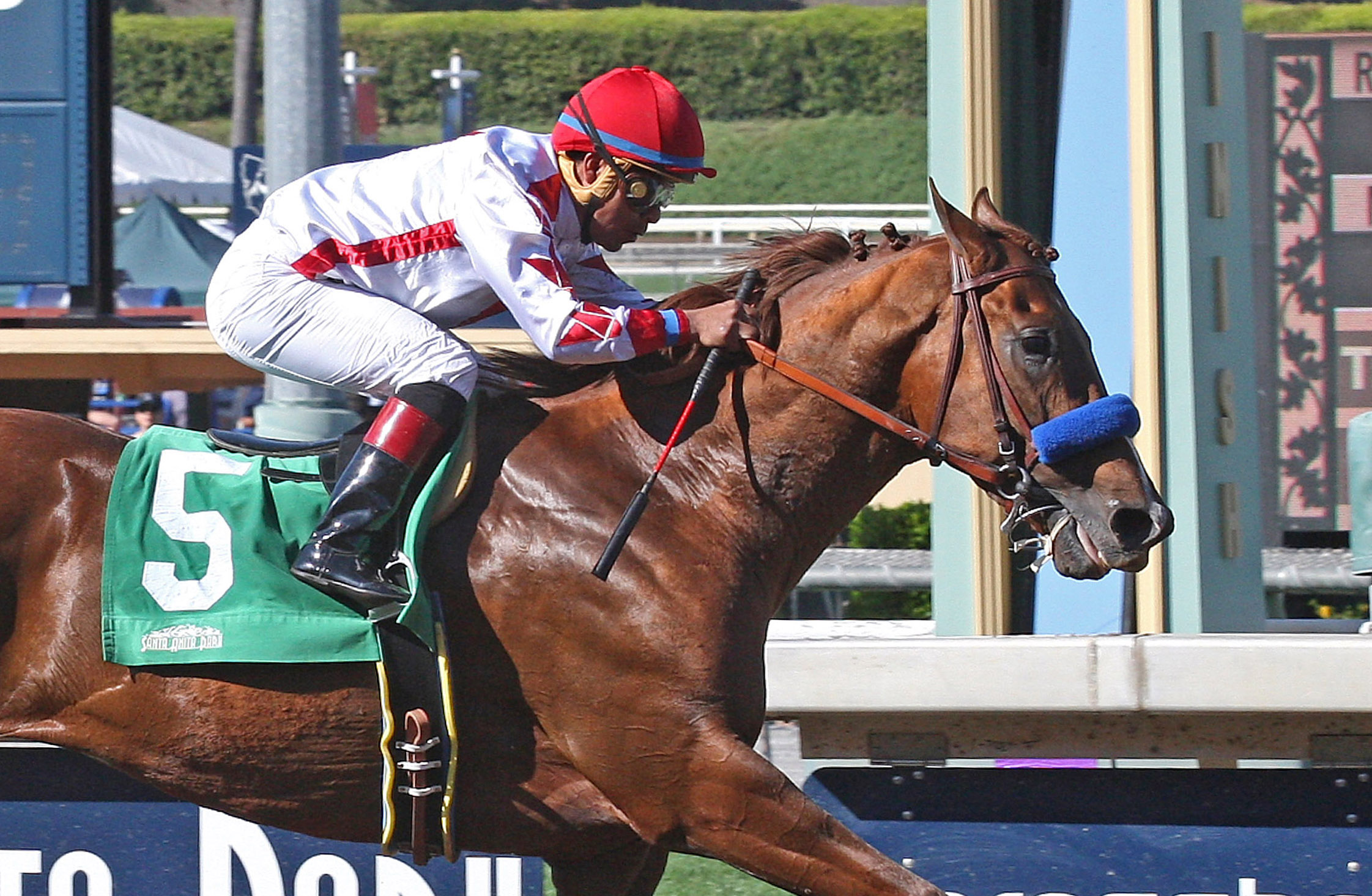 Collected win the Santana Mile