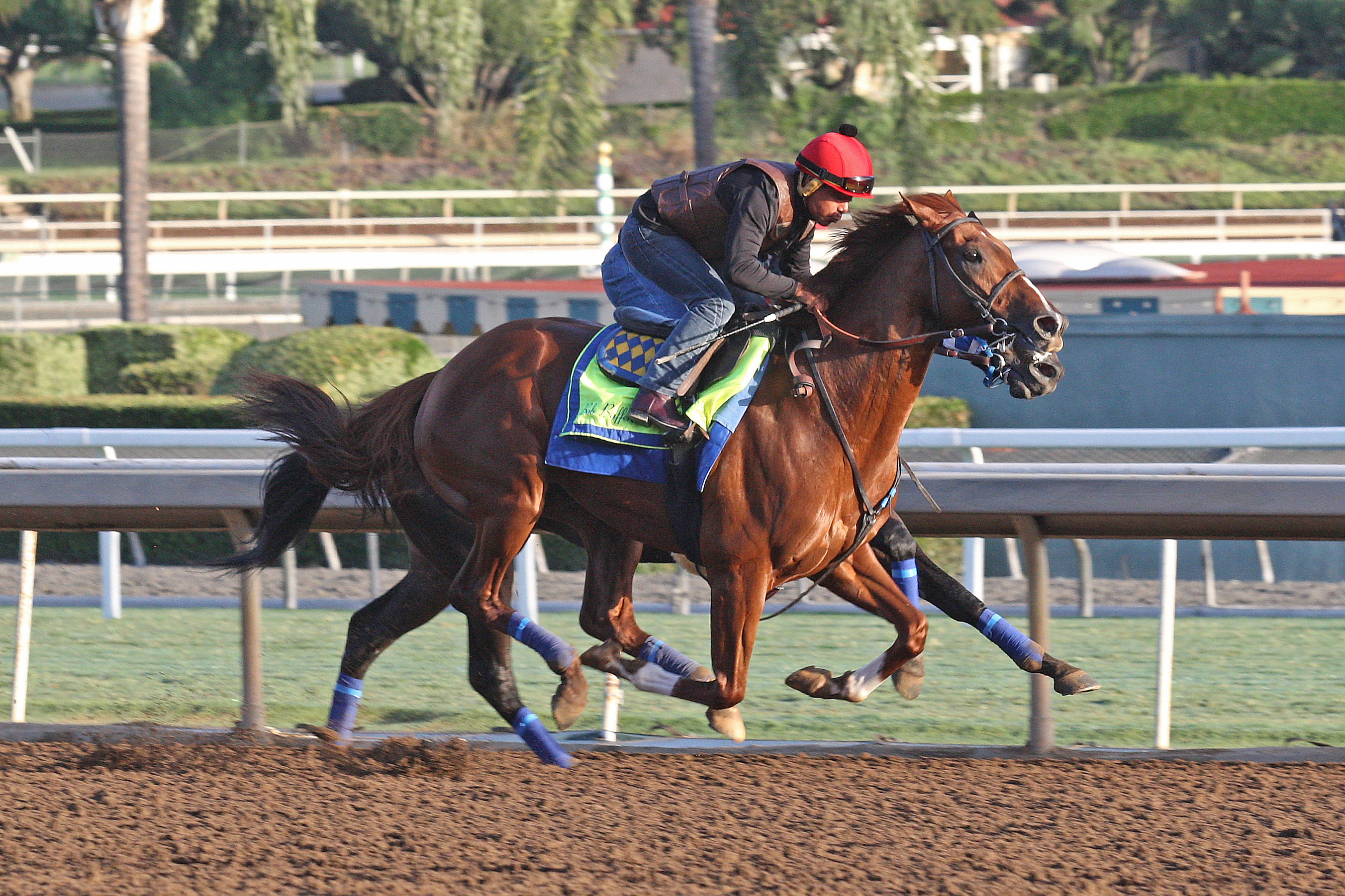 Collected works at Santa Anita 10.21.17 Blackjackcat inside.