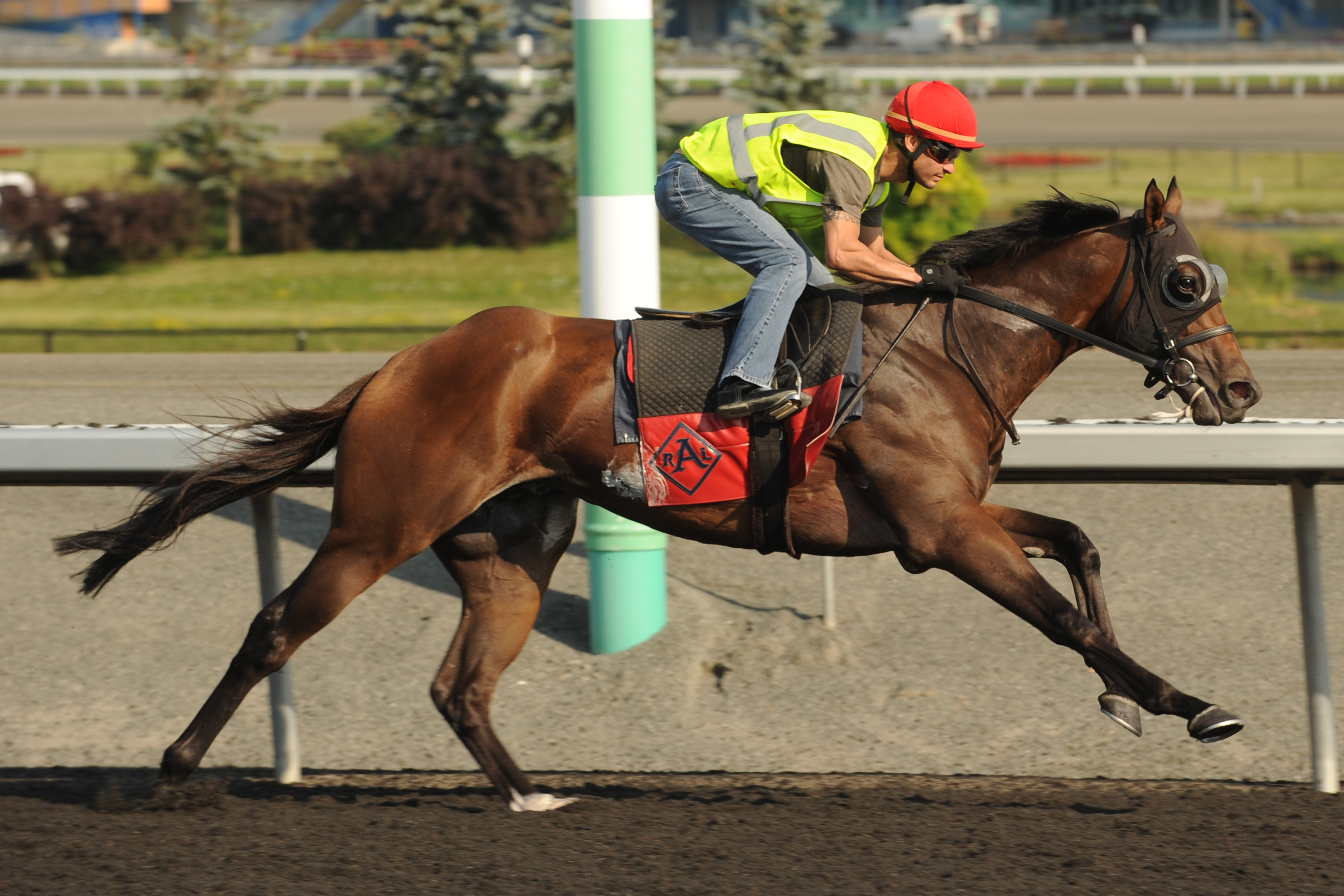 Colleen's Sailor at Woodbine