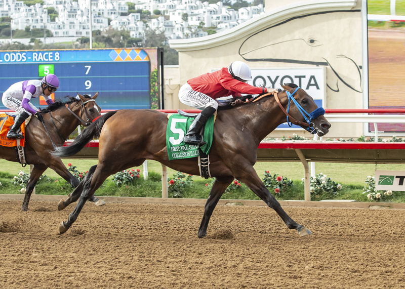 Collusion Illusion wins the 2019 Best Pal Stakes