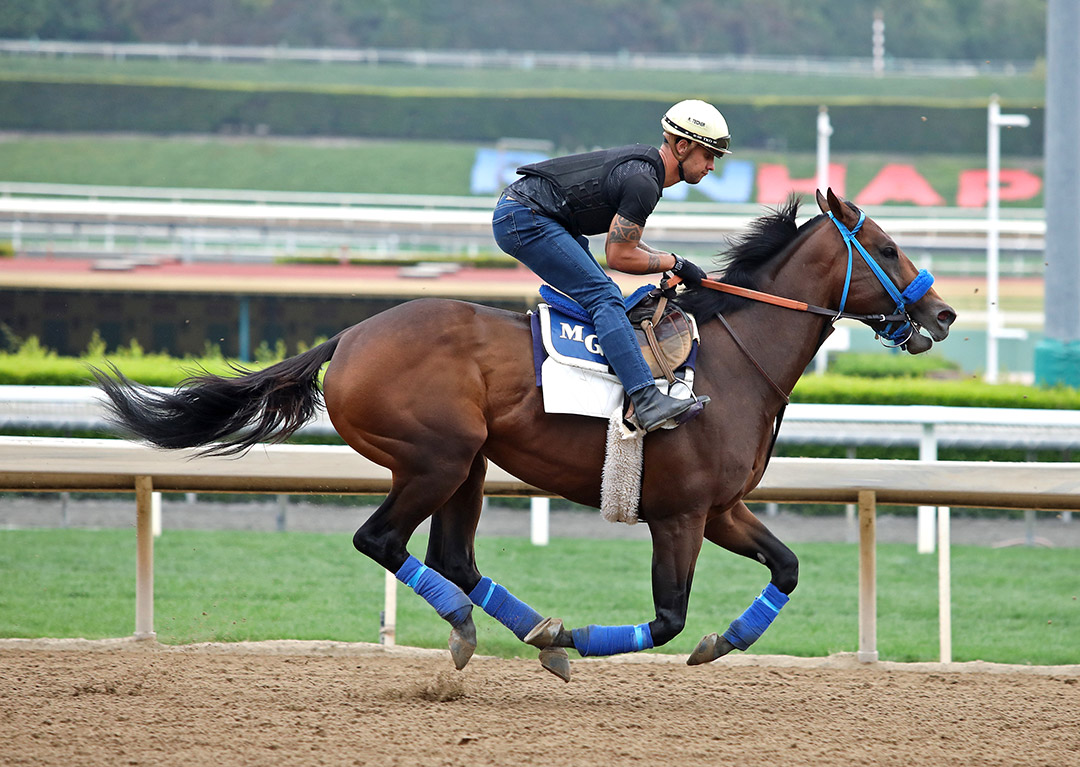 Collusion Illusion trains at Santa Anita Park on May 31