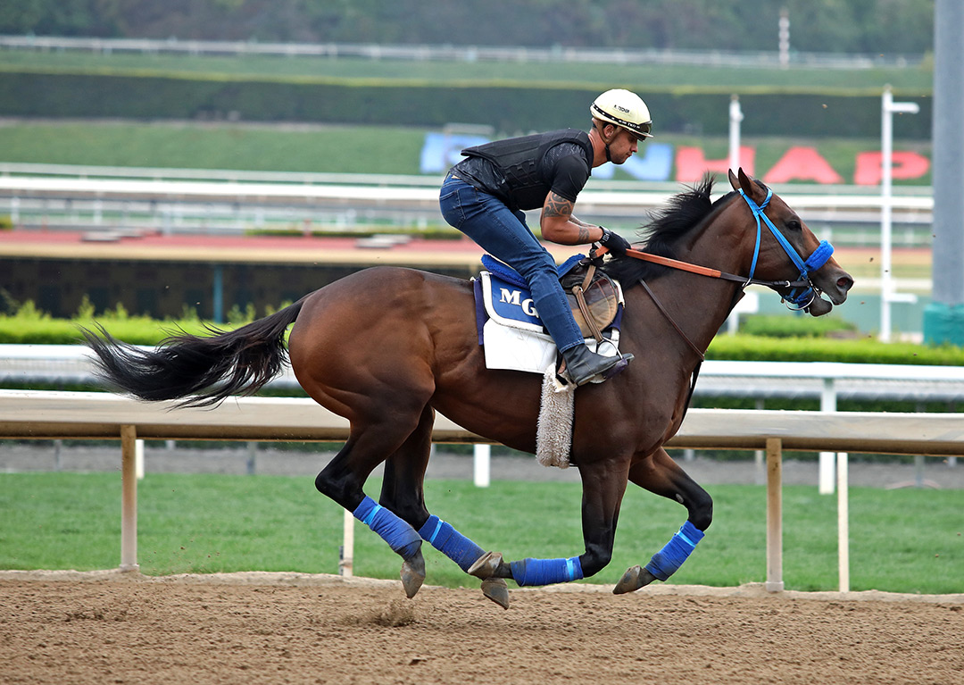 Collusion Illusion trains at Santa Anita Park on May 31