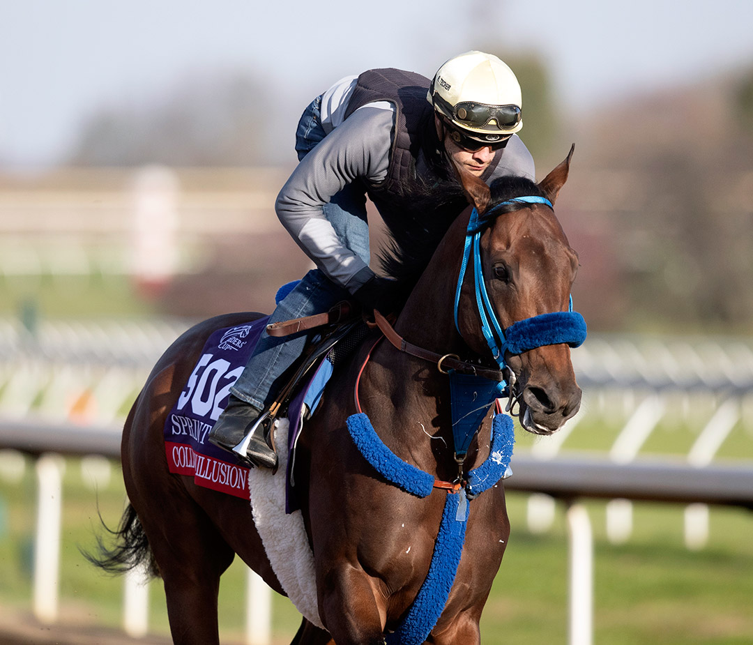 Collusion Illusion trains at Keeneland Racecourse on Nov. 5