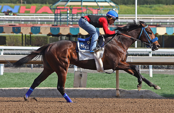 Collusion Illusion trains at Santa Anita Park on Feb. 24