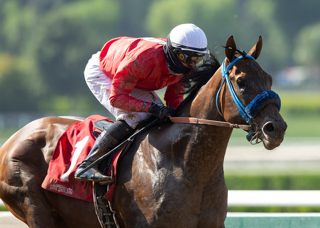 Collusion Illusion wins the Lazaro Barrera Stakes at Santa Anita Park