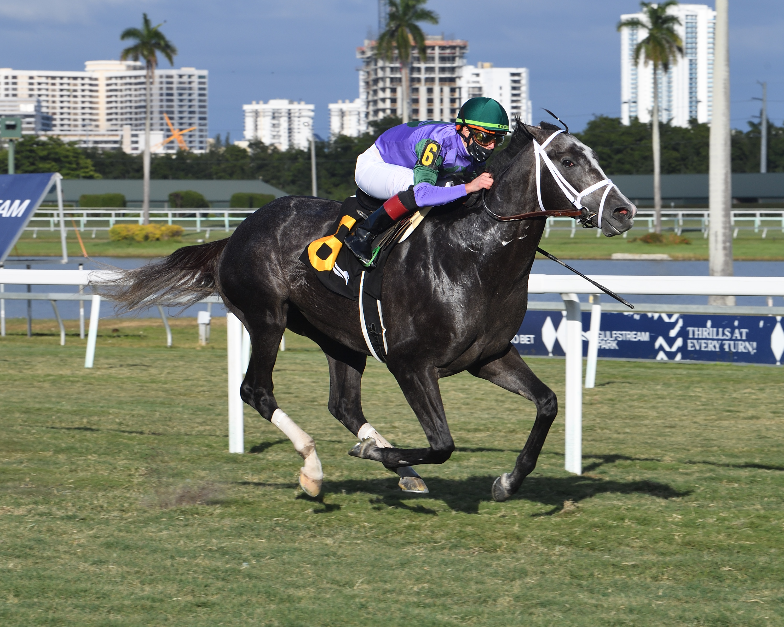 Colonel Liam wins Tropical Park Derby 12-26-2020