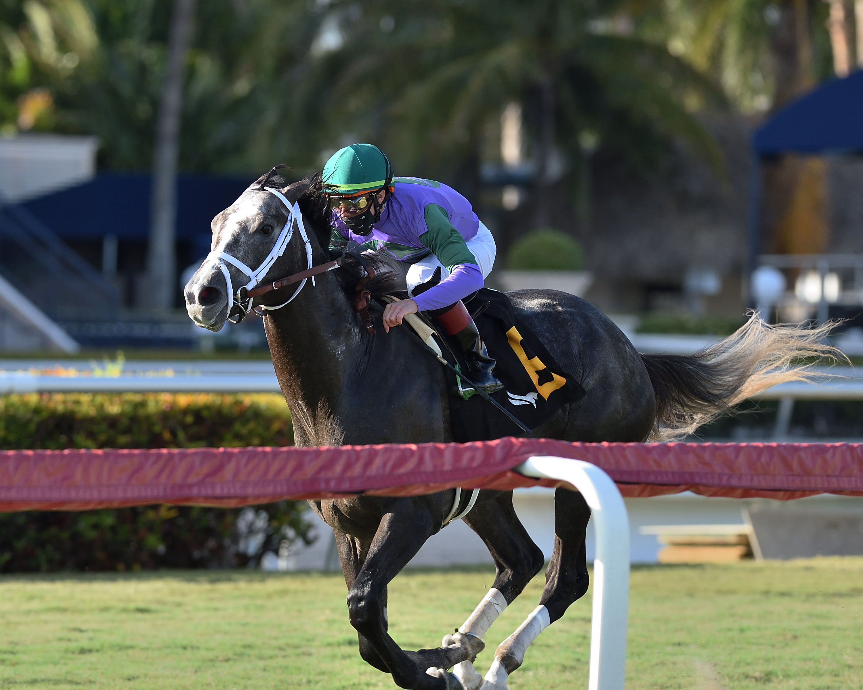 Colonel Liam wins the Tropical Park Derby.12-26-2020