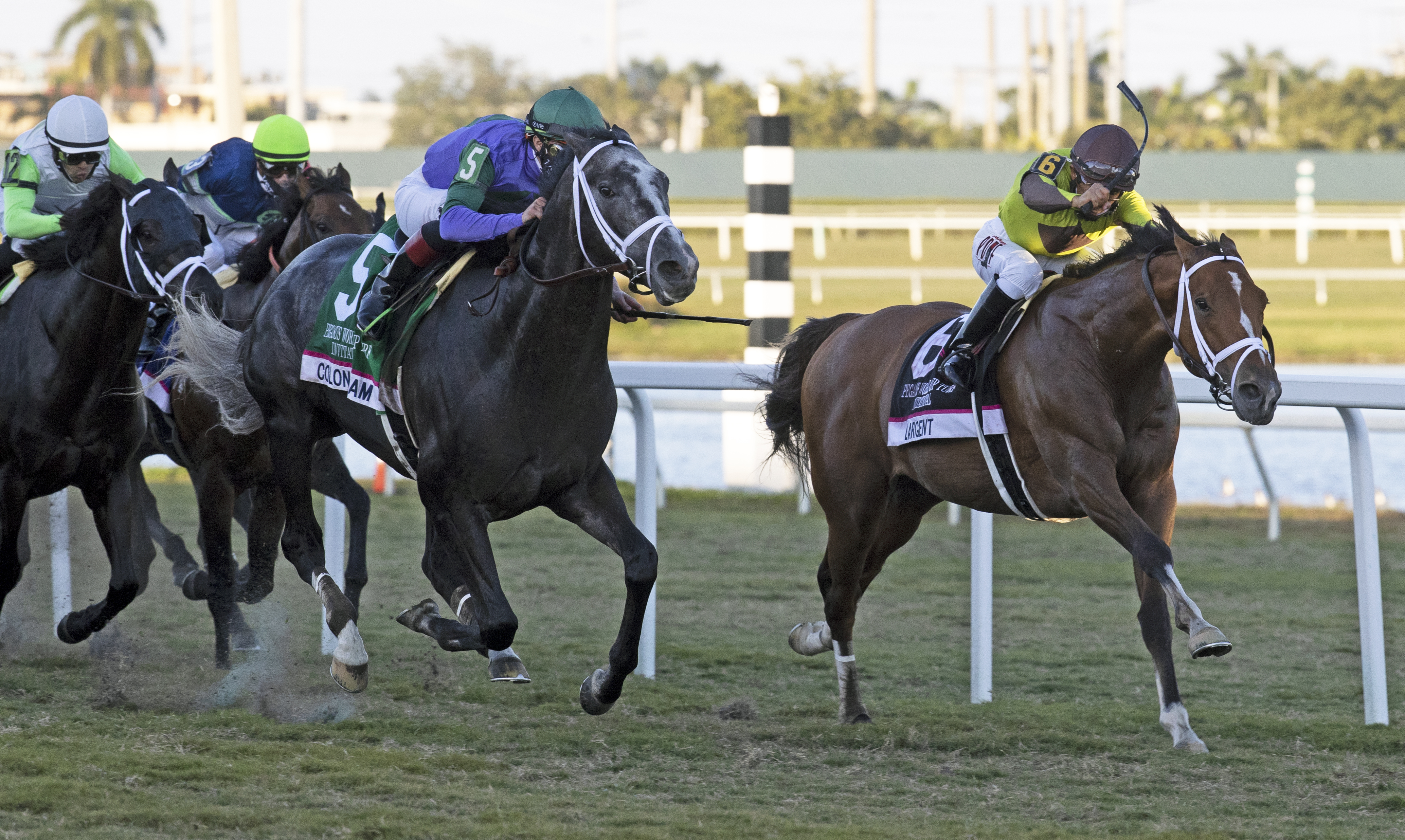 Colonel Liam wins Pegasus Turf 1-23-2021