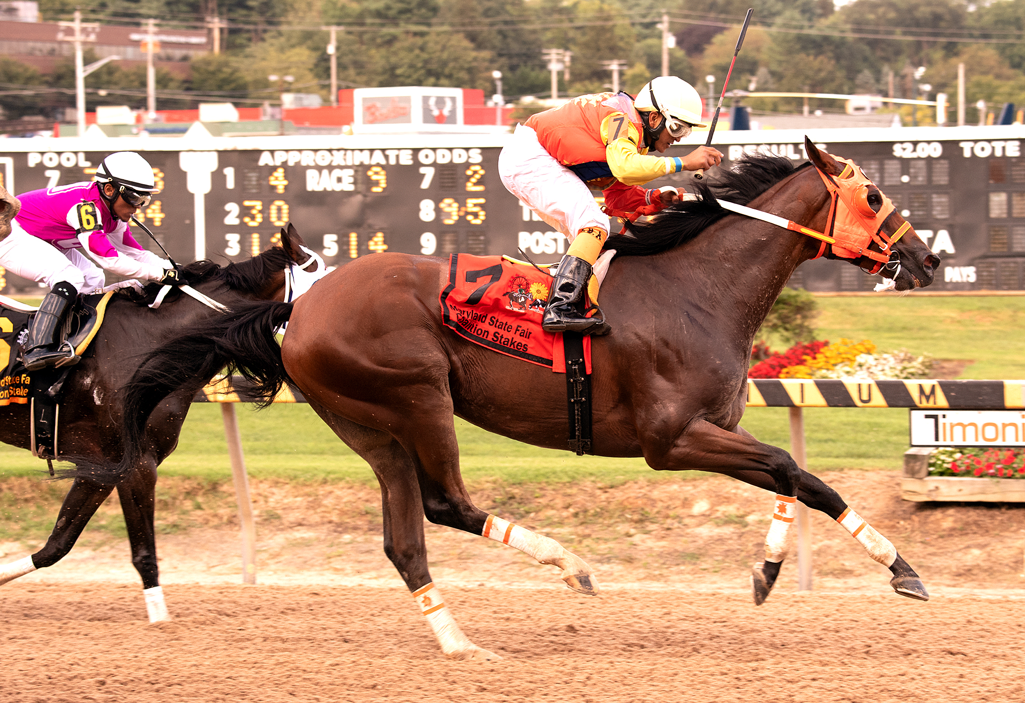 Colonel Sharp wins 2018 Coalition Stakes
