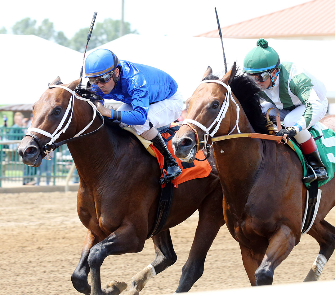 Notary (right) finishes second in a July 2021 allowance at Ellis Park