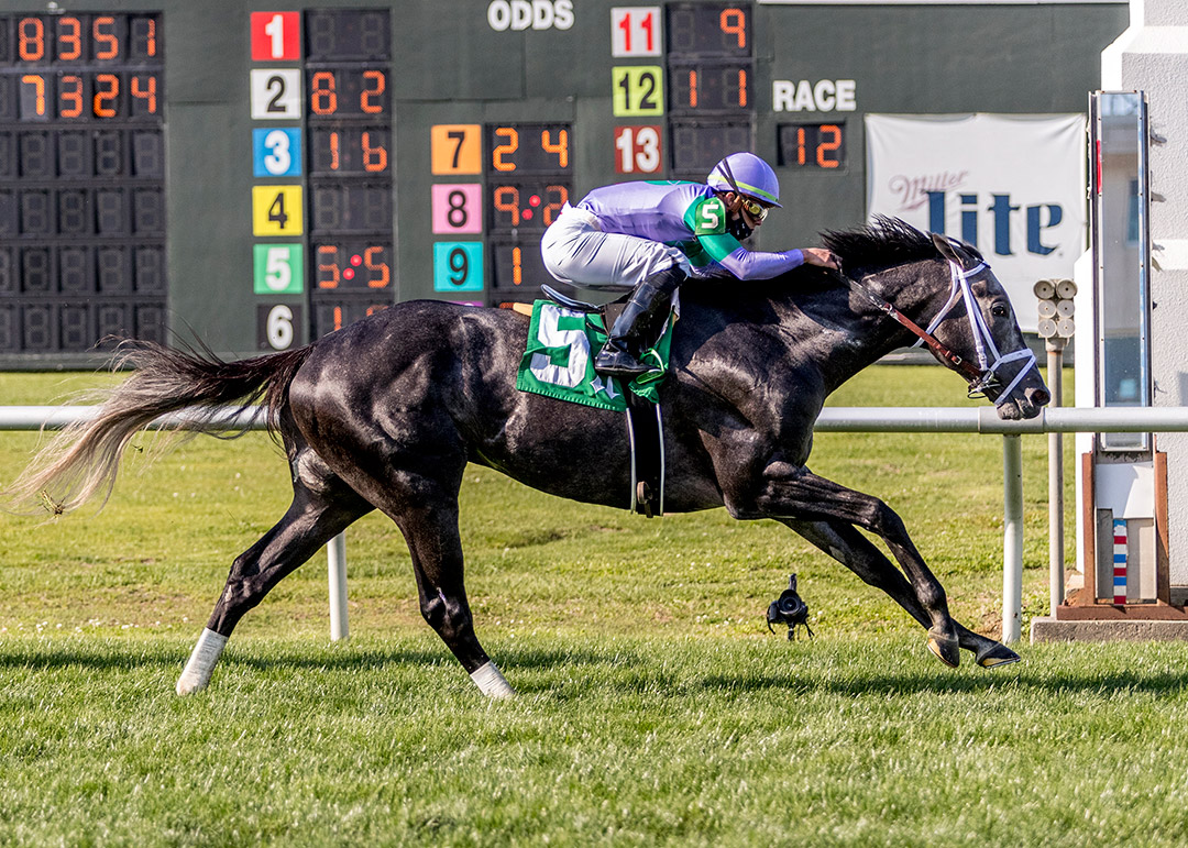 Colonel Liam wins the 2021 Muniz Memorial Stakes at Fair Grounds