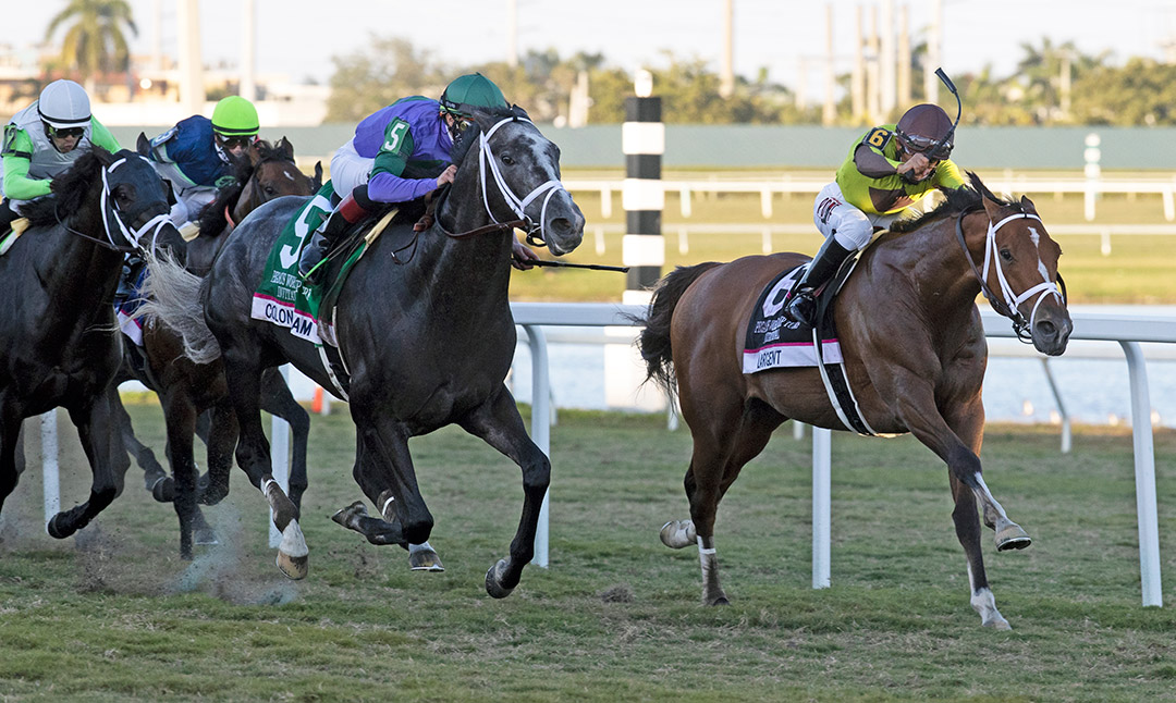Colonel Liam (left) wins the 2021 Pegasus World Cup Turf at Gulfstream Park