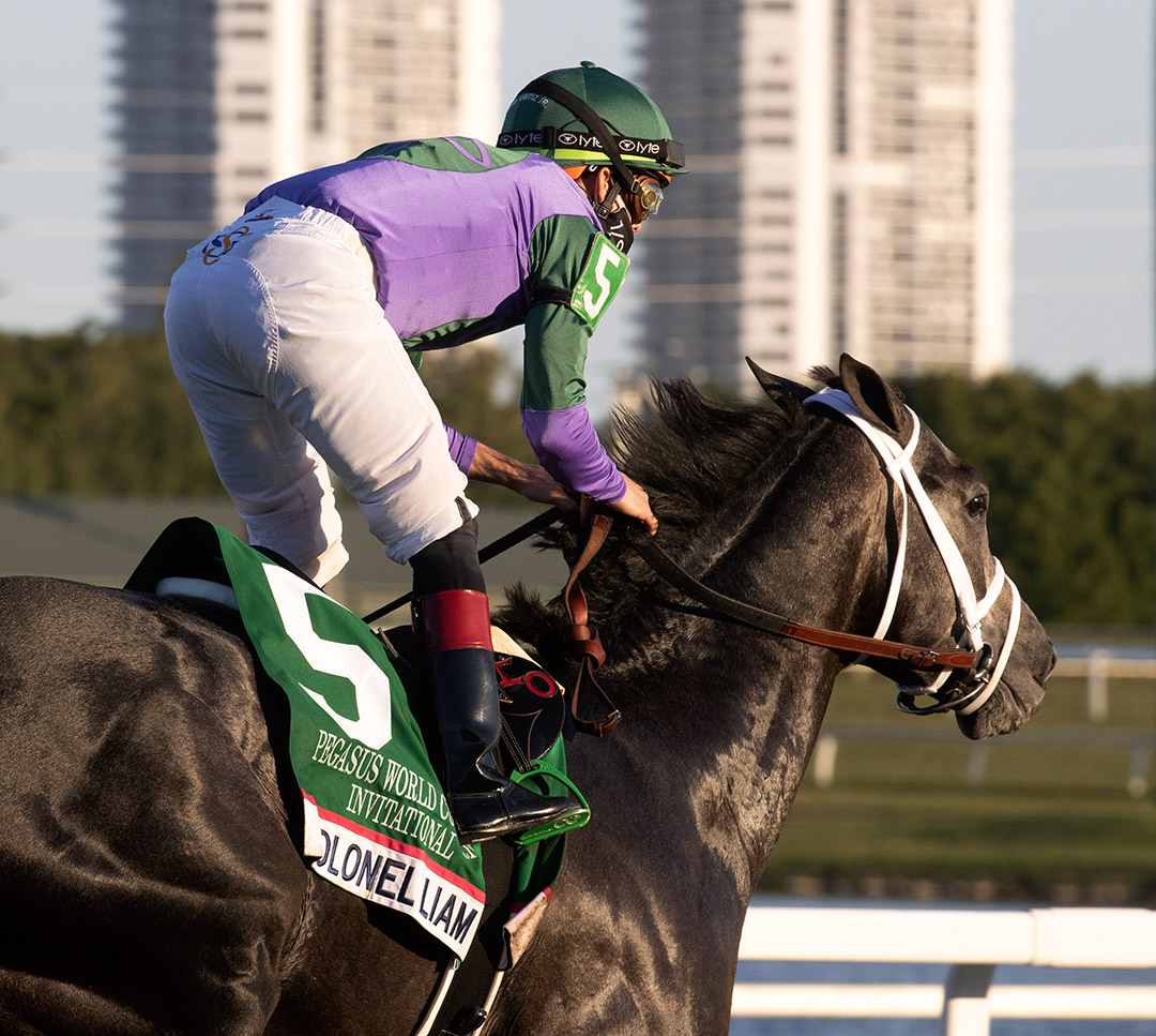 Colonel Liam wins the 2021 Pegasus World Cup Turf at Gulfstream Park