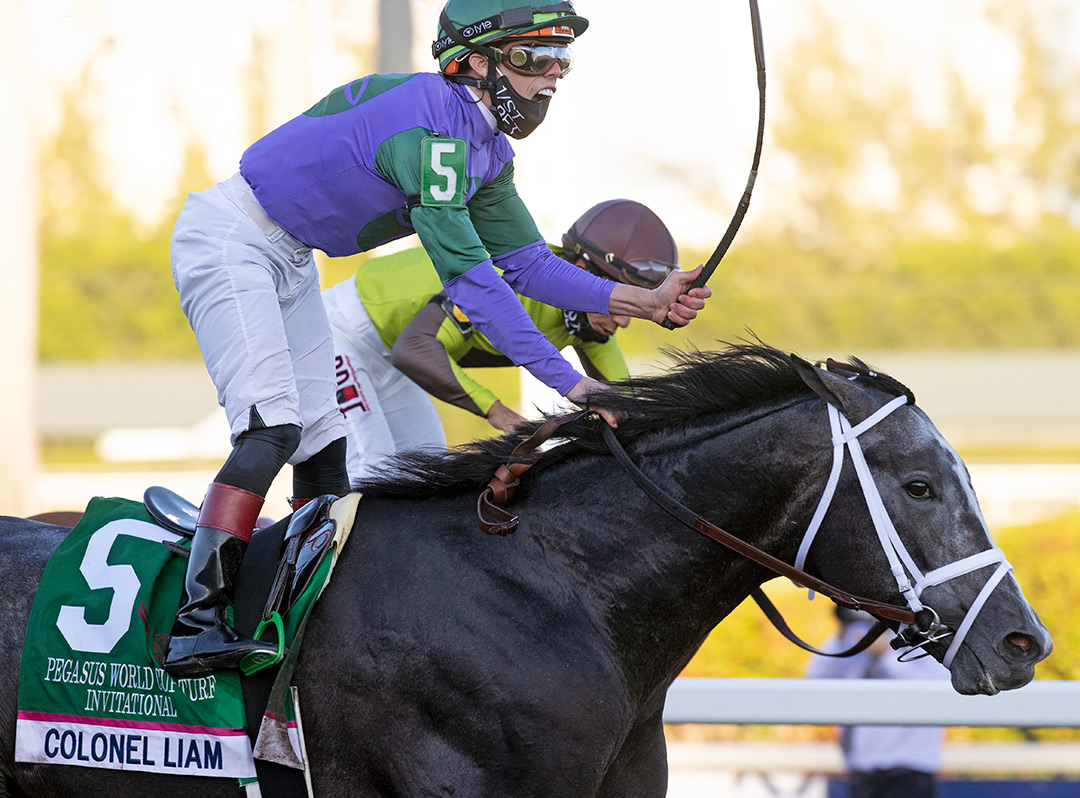 Colonel Liam wins the 2021 Pegasus World Cup Turf at Gulfstream Park