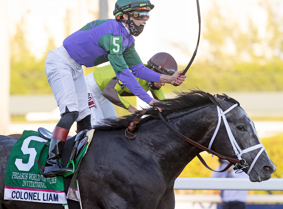 Colonel Liam wins the 2021 Pegasus World Cup Turf at Gulfstream Park