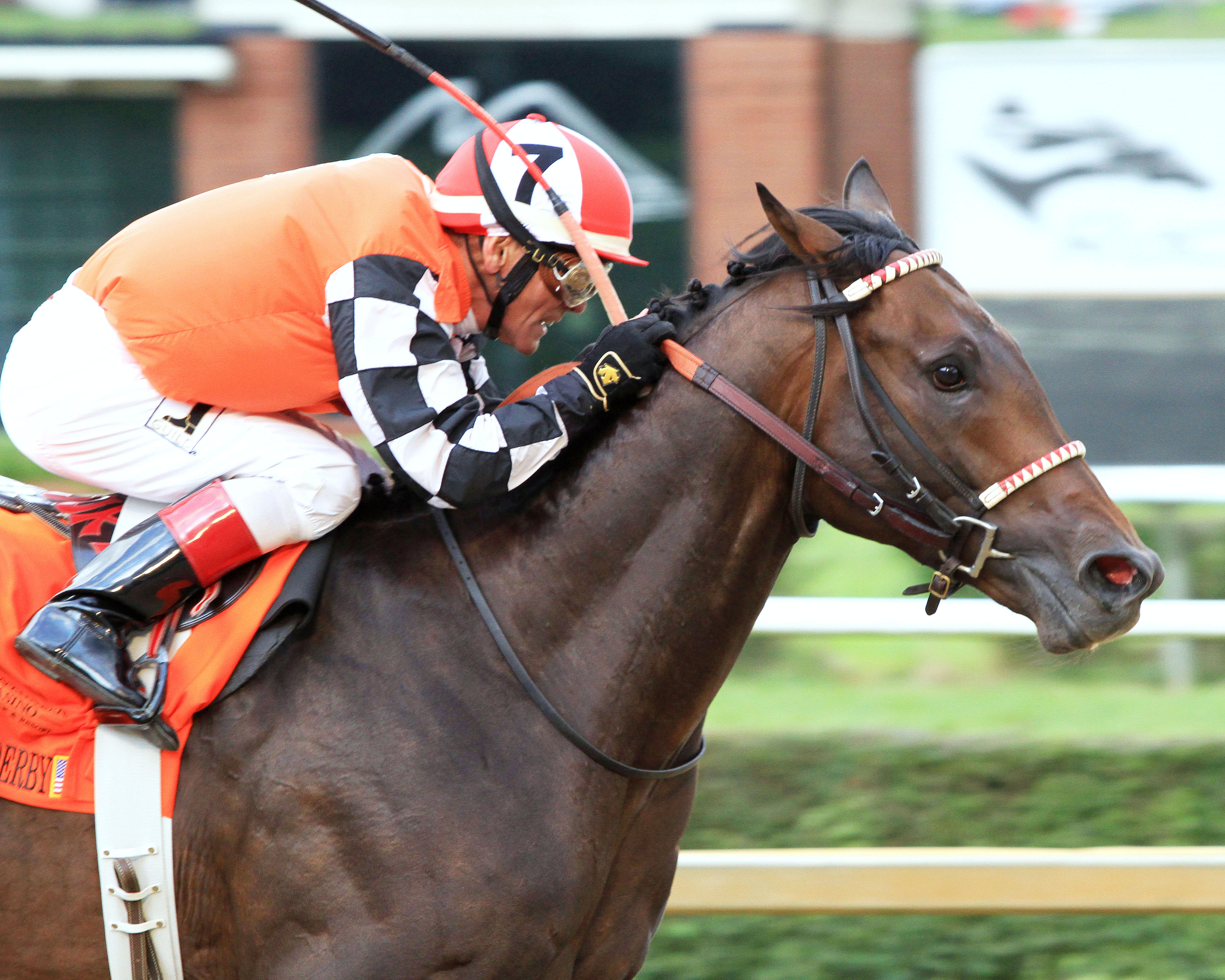 Colonelsdarktemper wins the 2017 West Virginia Derby