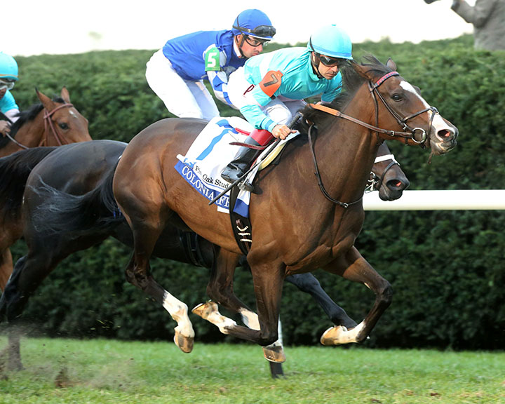 Colonia wins the 2018 Valley View Stakes at Keeneland Race Course