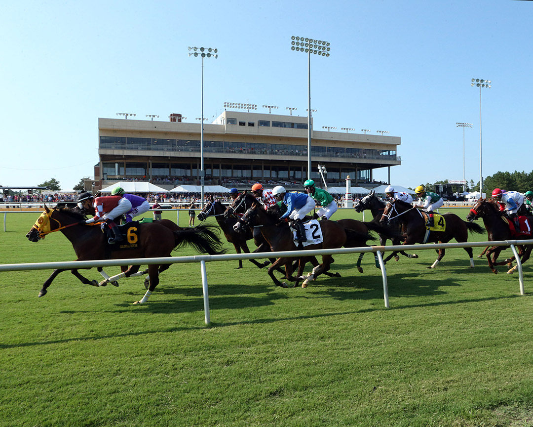 Colonial Downs turf racing 2019
