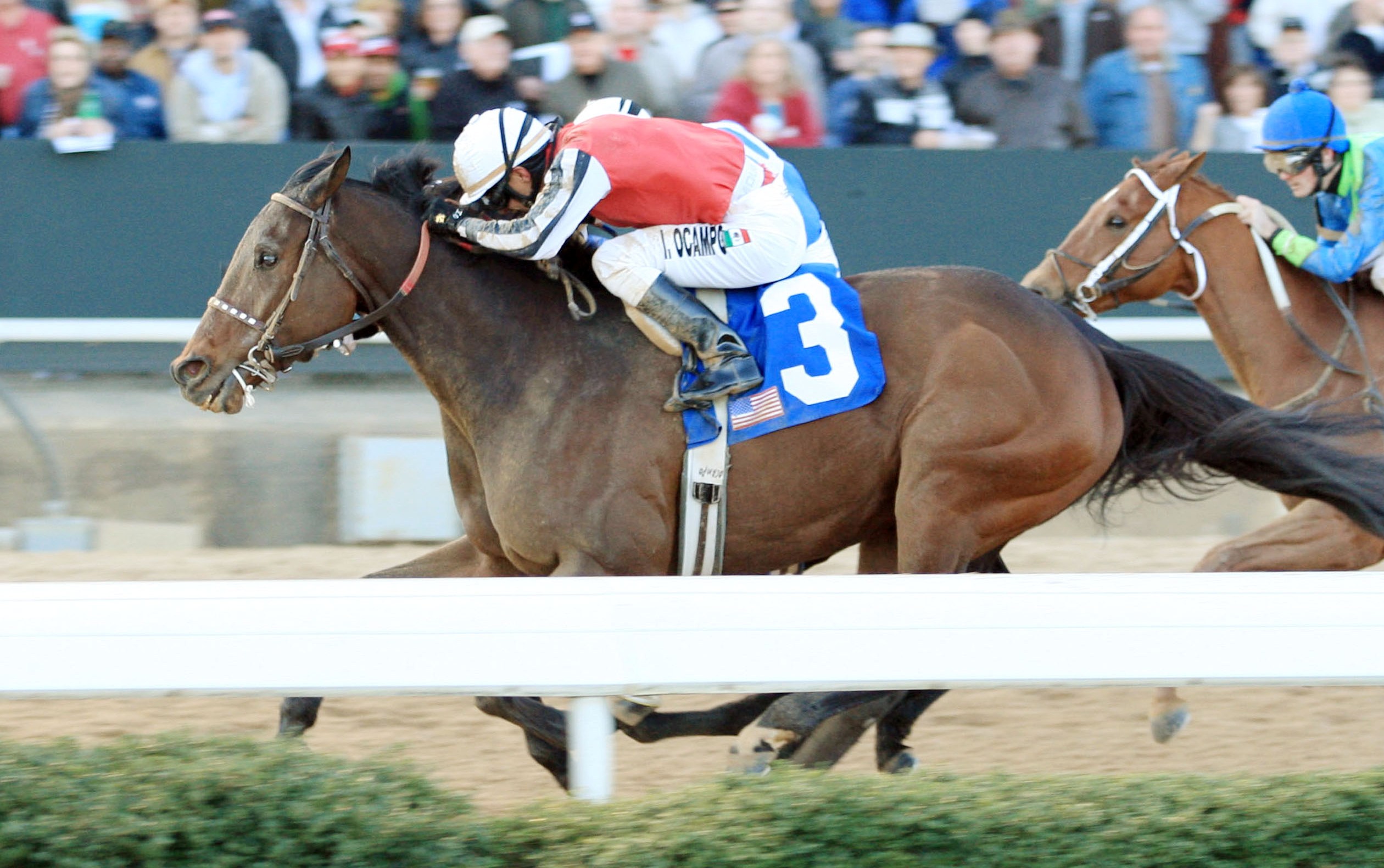 Color Me Blue, Fifth Season Stakes