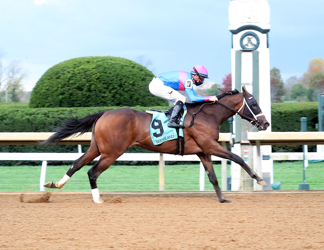 Color of Dawn wins an Oct. 23 maiden race at Keeneland