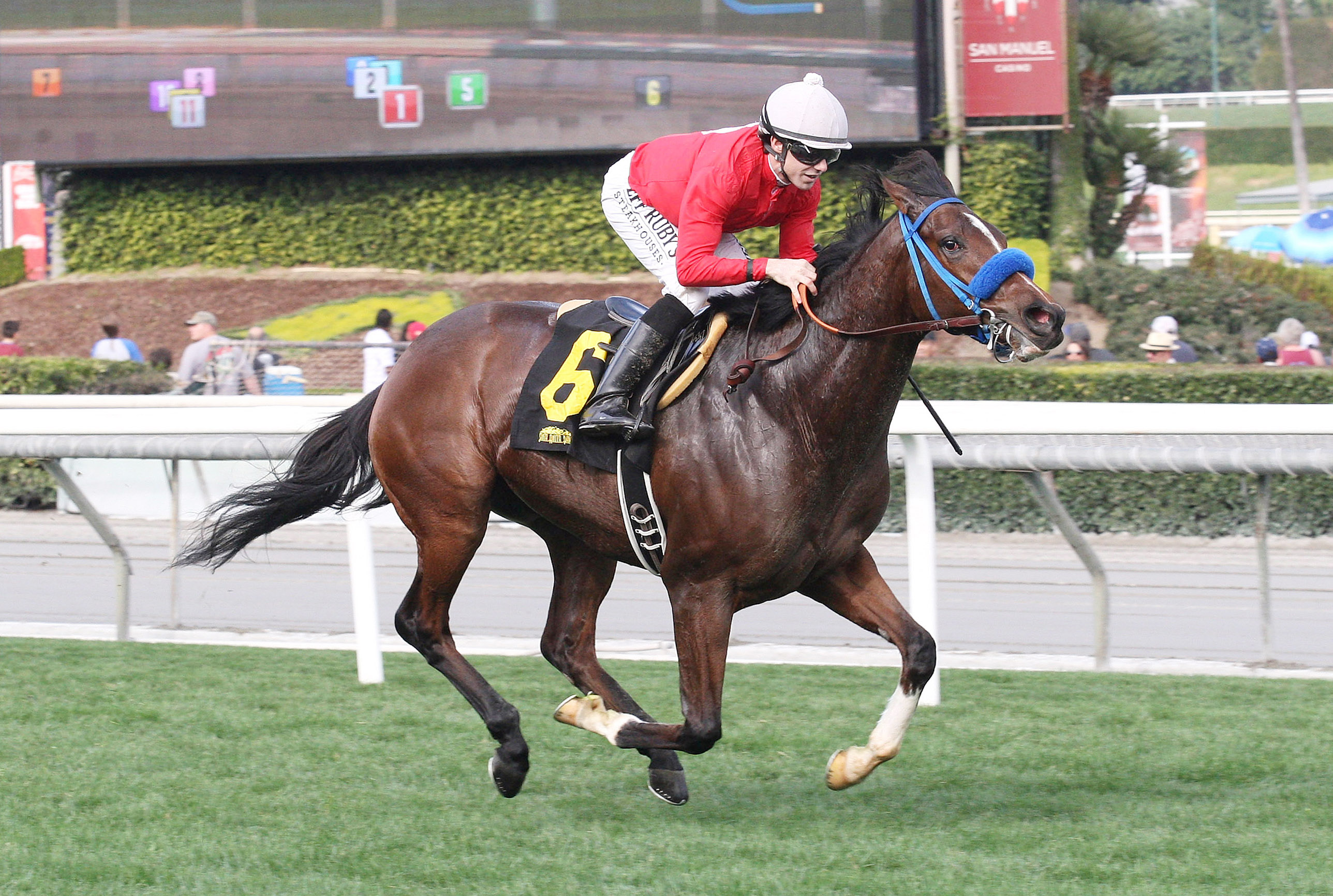 Colosi wins a Jan. 7 maiden race