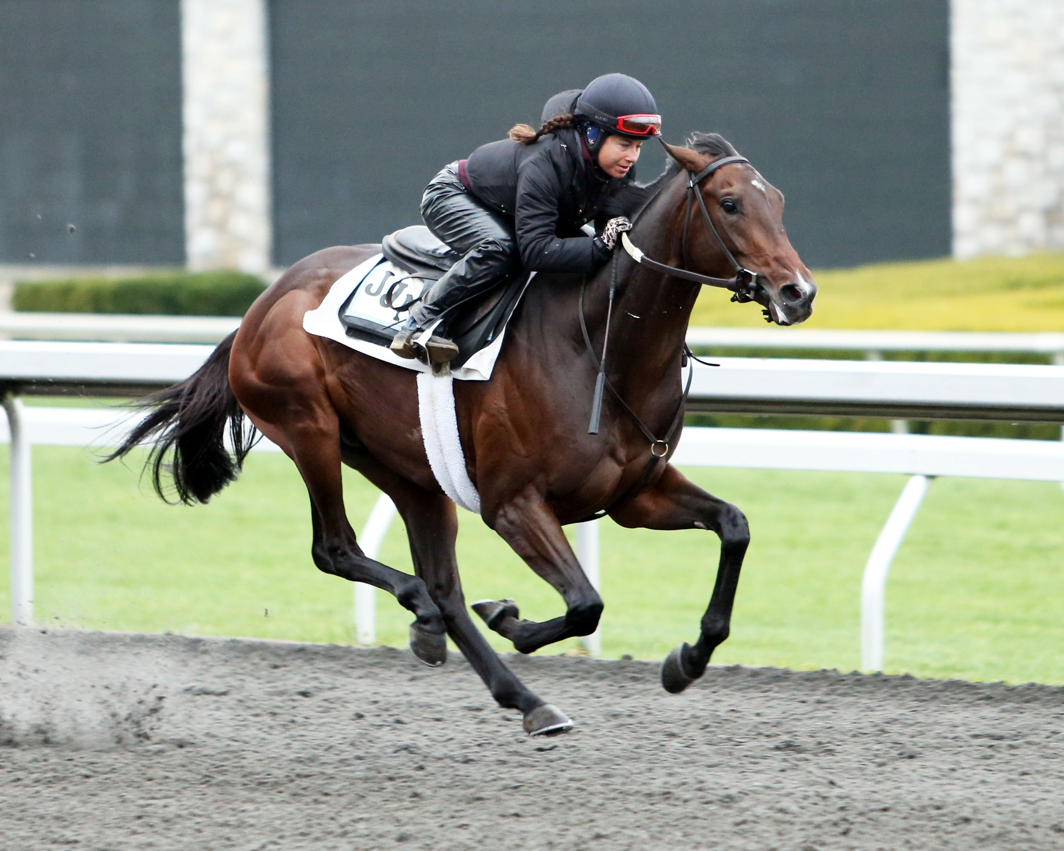 Coltimus Prime works at Keeneland on April 7
