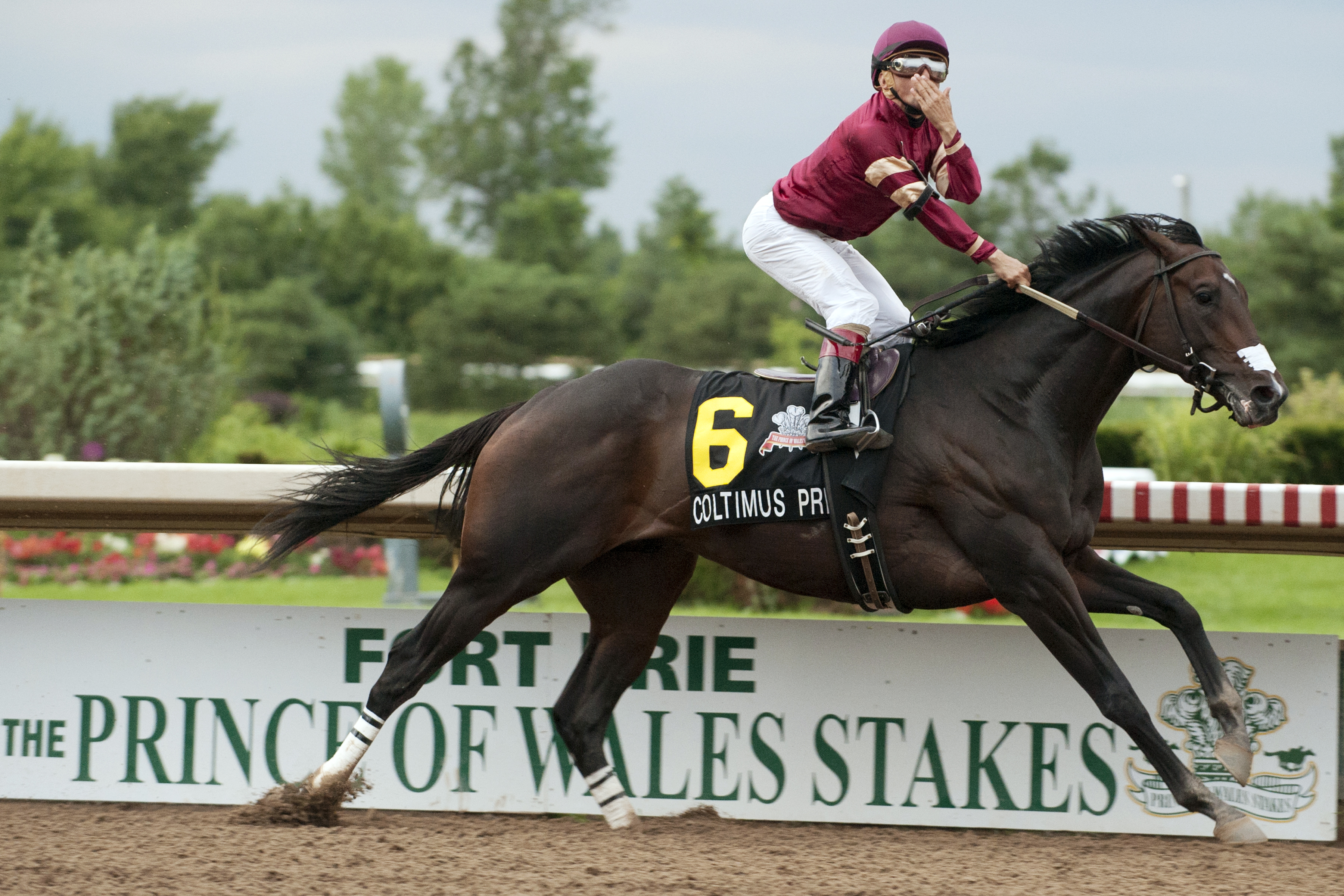 Coltimus Prime/Prince of Wales