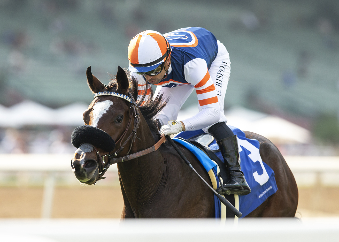 Comanche Country wins the Surfer Girl at Santa Anita Oct 9 2022