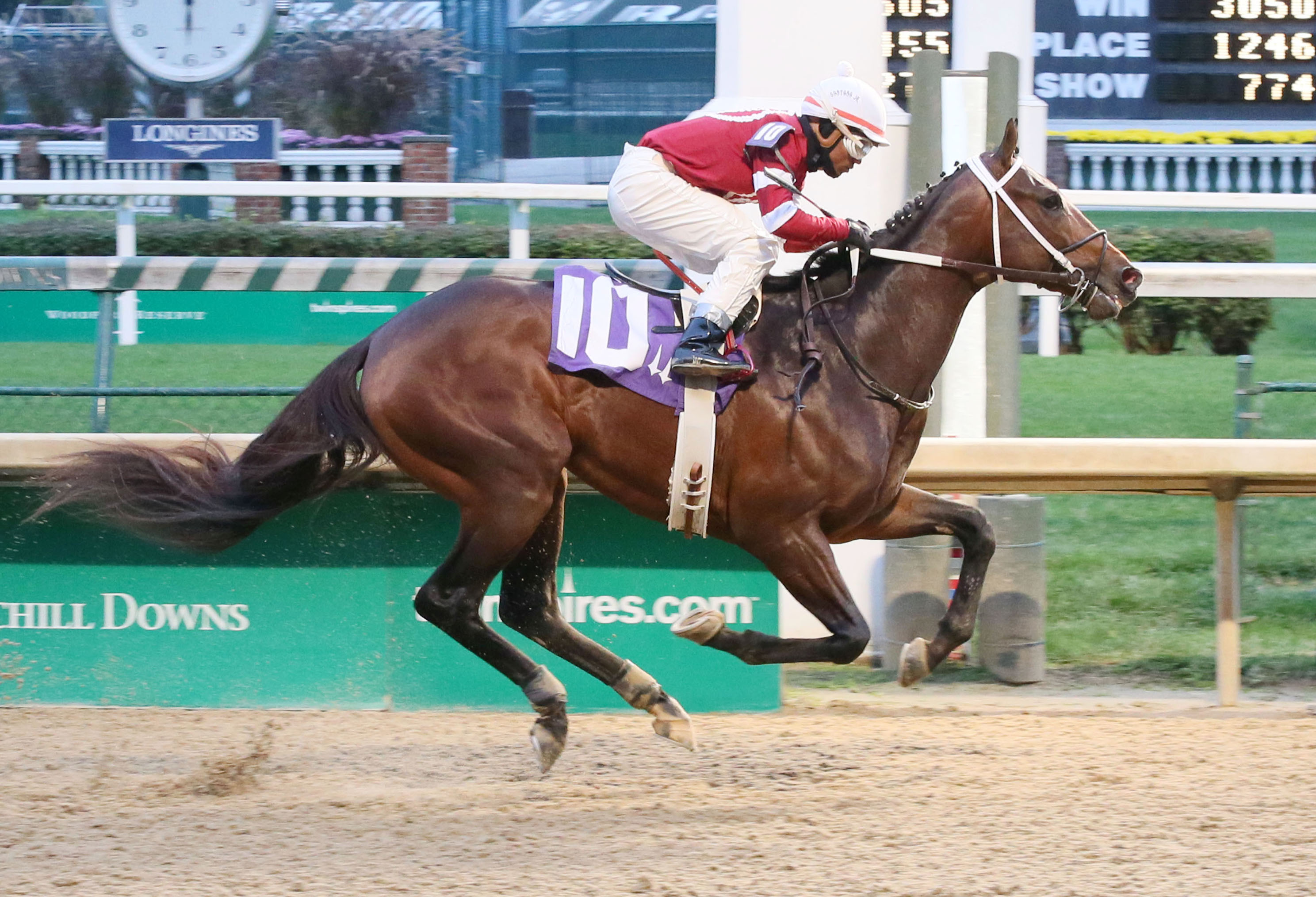 Combatant wins an Oct. 29 maiden race