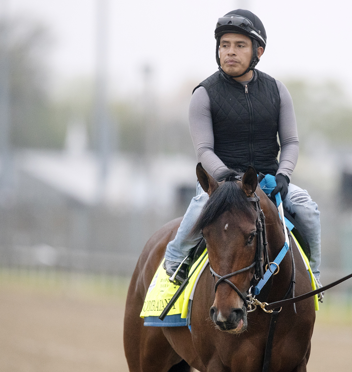 Combatant at Churchill in April 2018