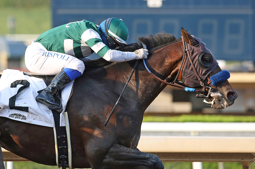 Combatant finishes third in the Tokyo City Cup at Santa Anita