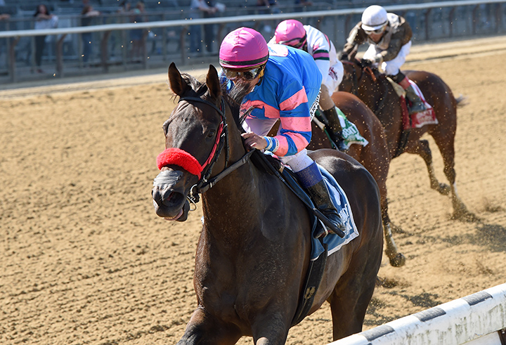 Come Dancing wins the 2019 Gallant Bloom at Belmont Park