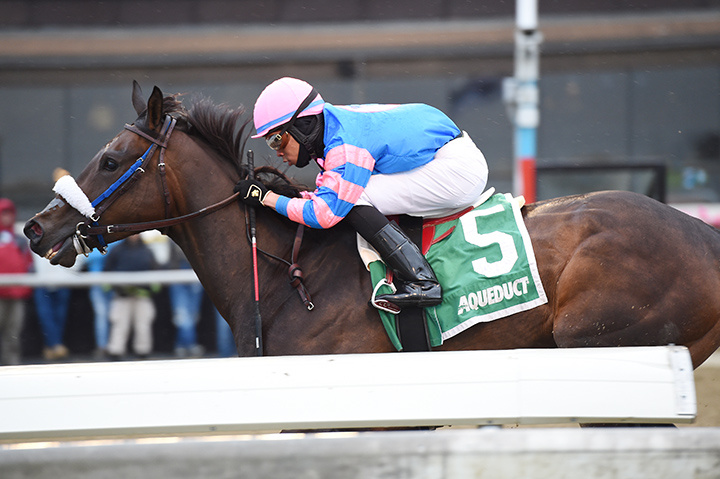 Come Dancing wins the 2019 Distaff at Aqueduct
