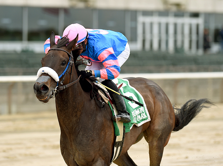 Come Dancing wins the 2019 Ruffian Stakes