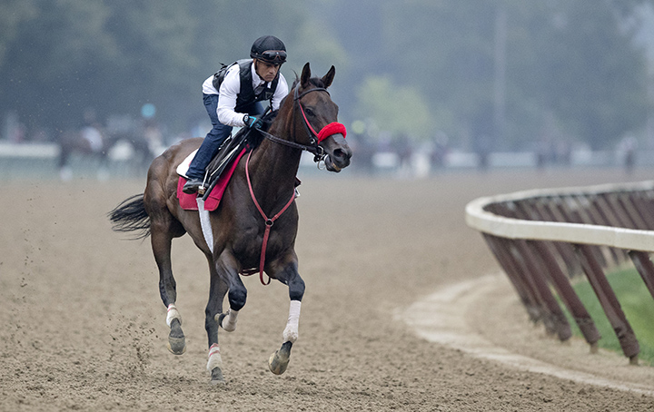 Come Dancing trains at Saratoga Race Course on Aug. 17
