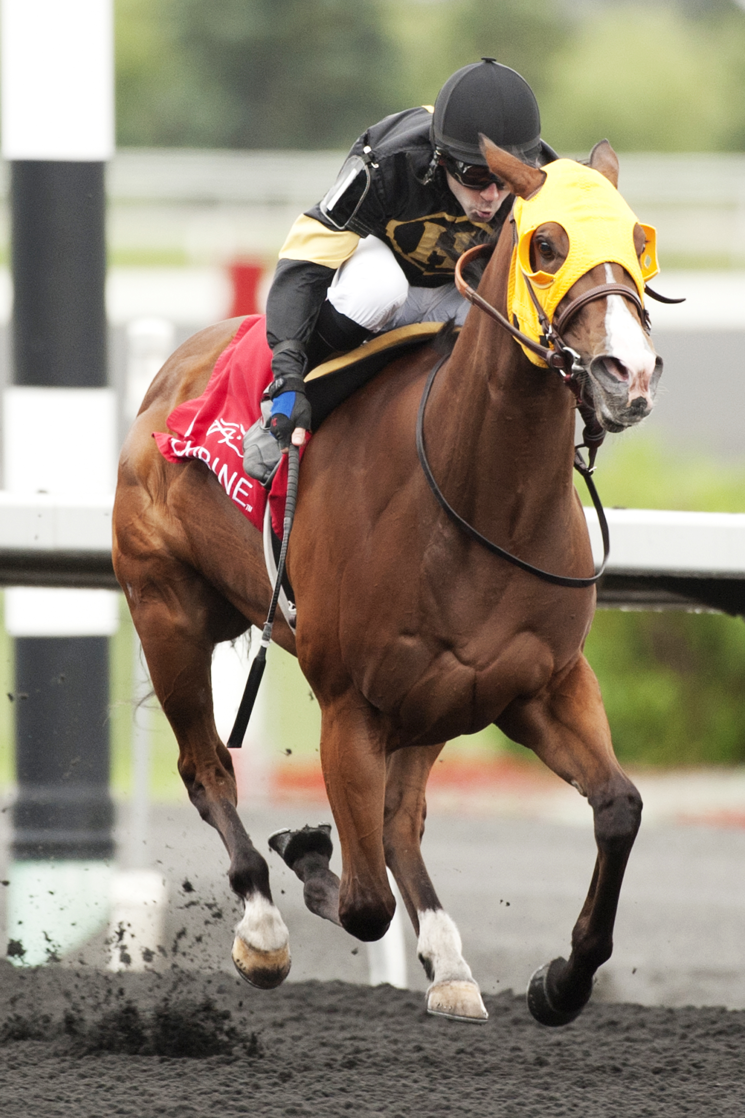 Come to Mischief wins the My Dear Stakes