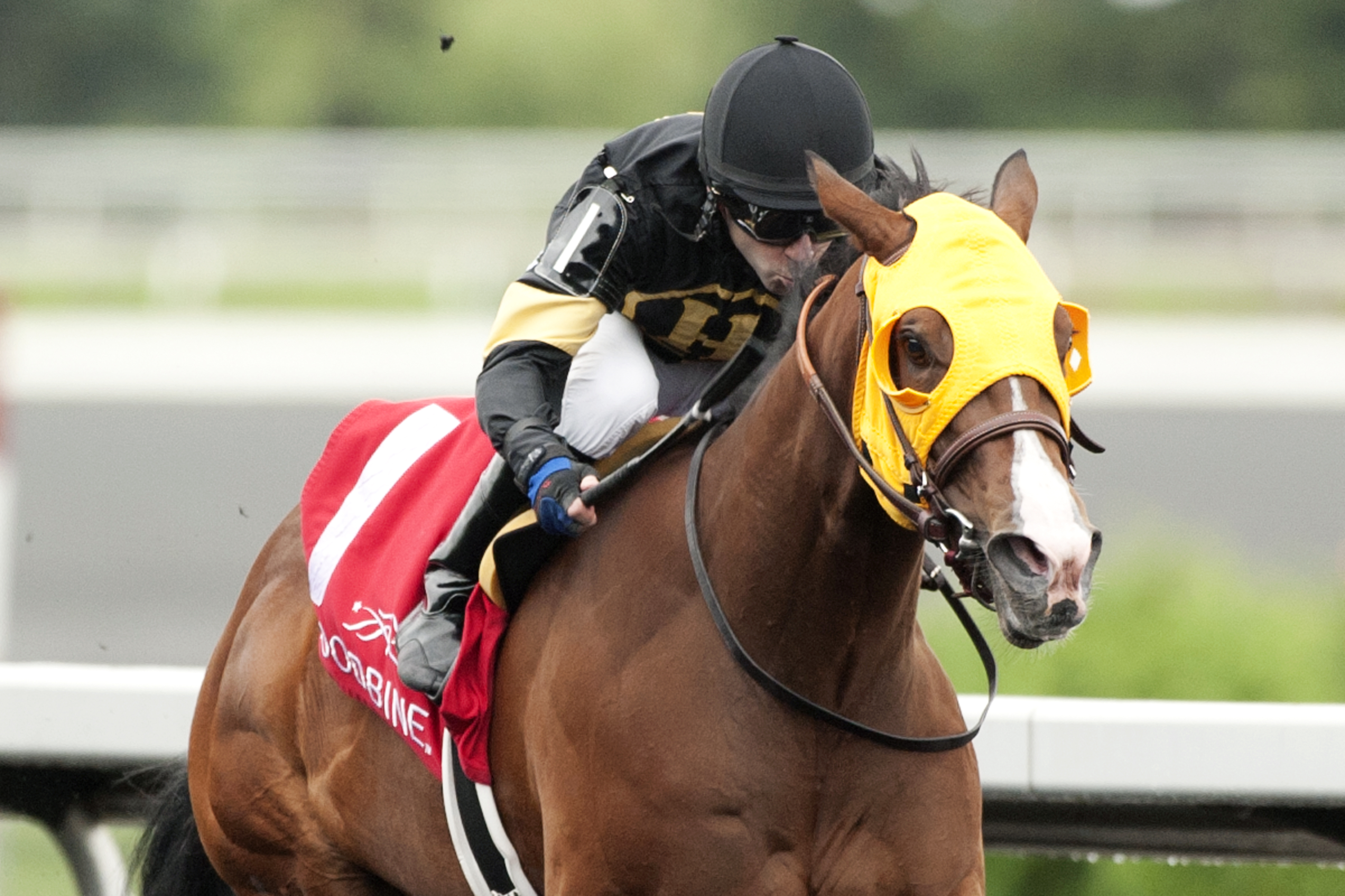 Come to Mischief wins the My Dear Stakes