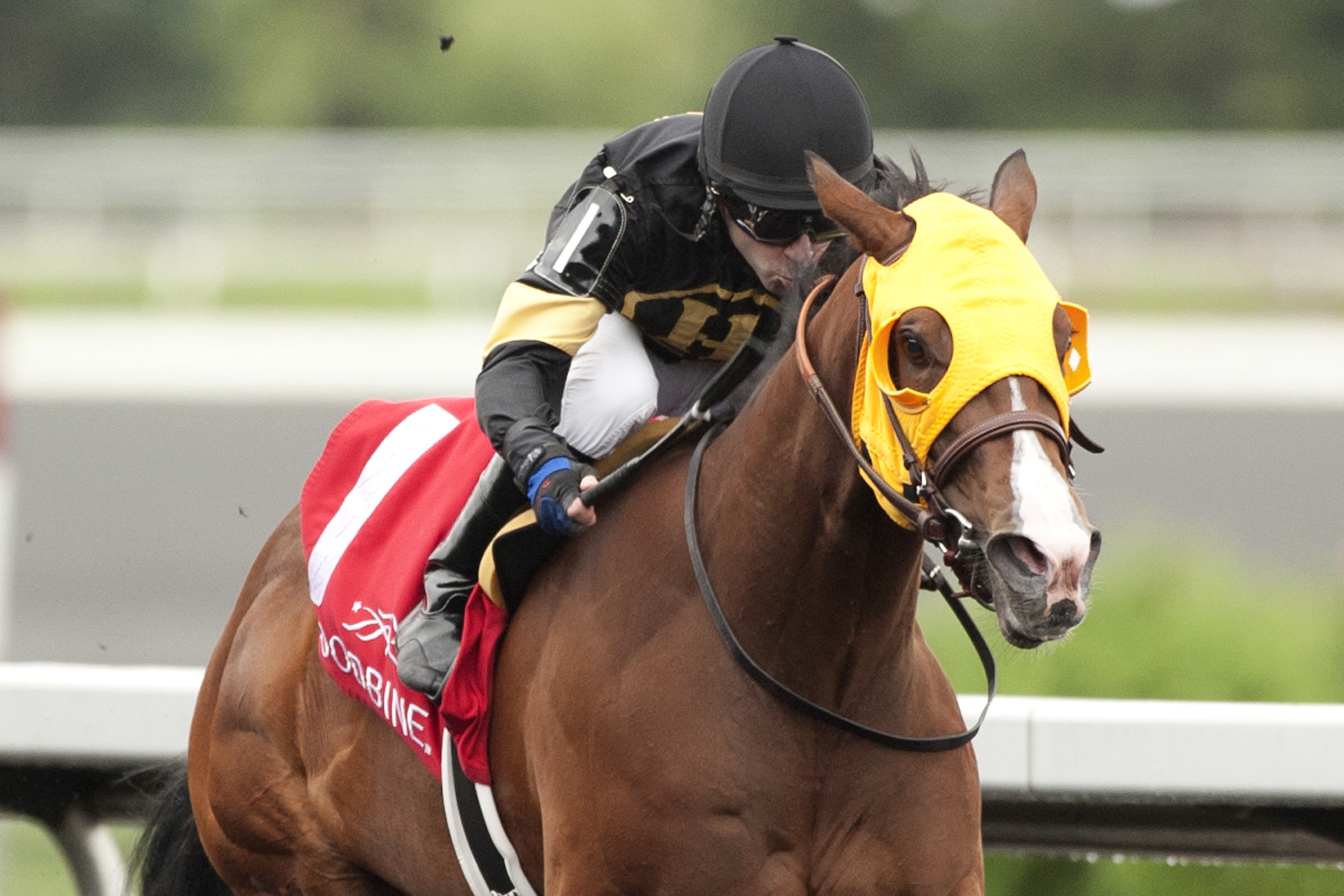 Tyler Pizarro wins the 2015 My Dear Stakes with Come to Mischief