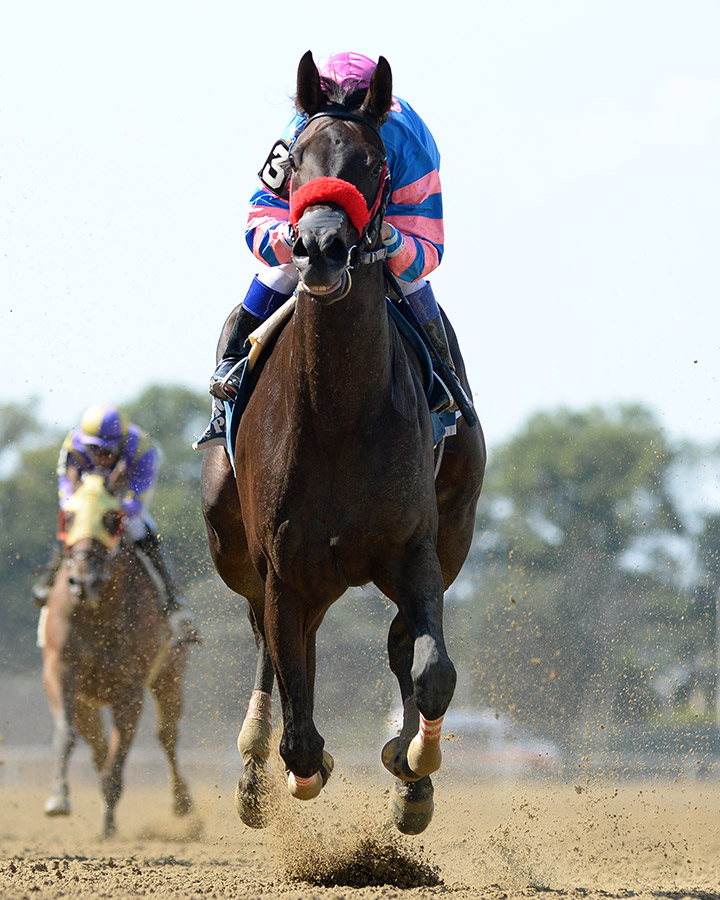 Come Dancing wins the 2019 Gallant Bloom at Belmont Park