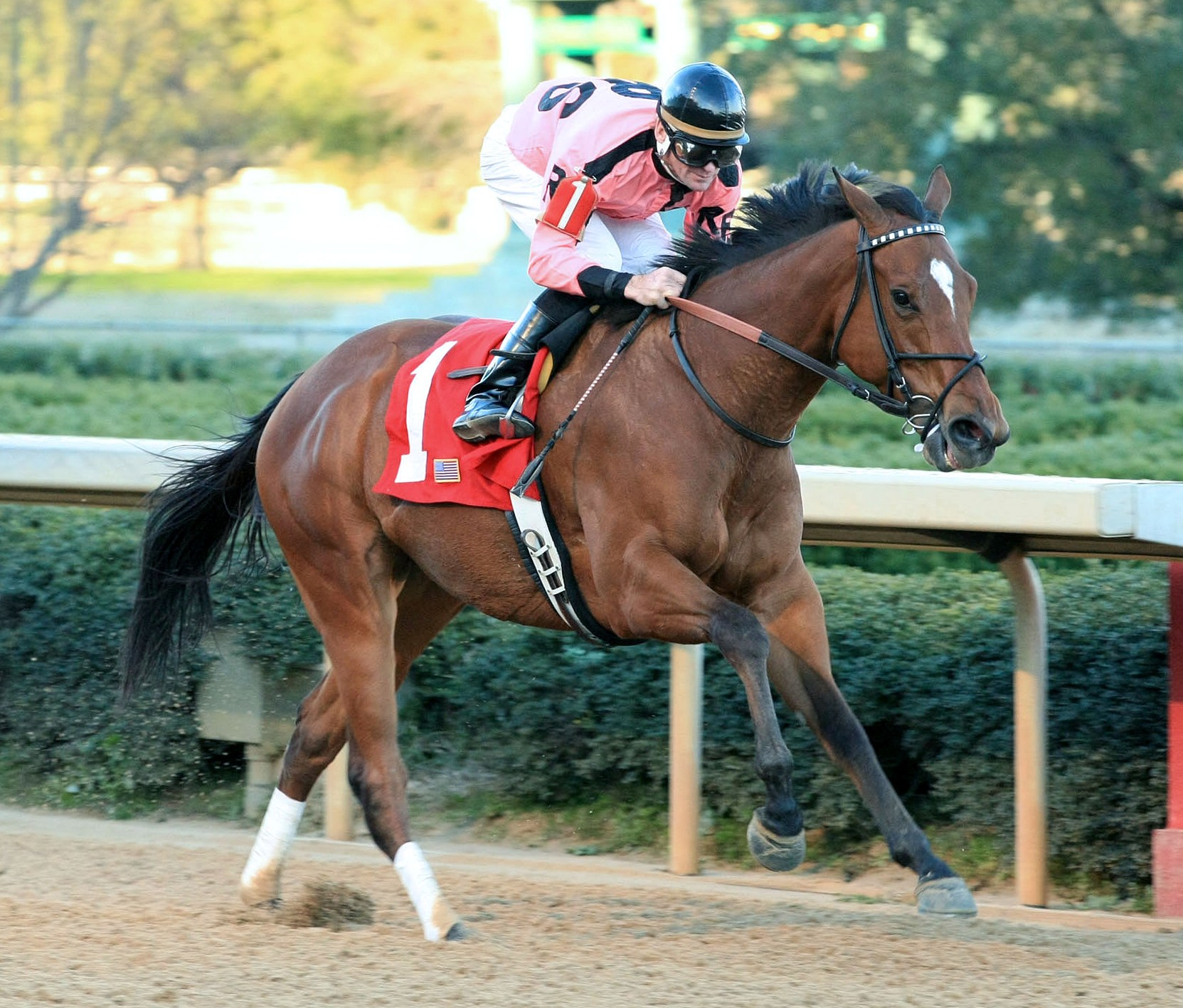 Comedero, 2012 Nodouble