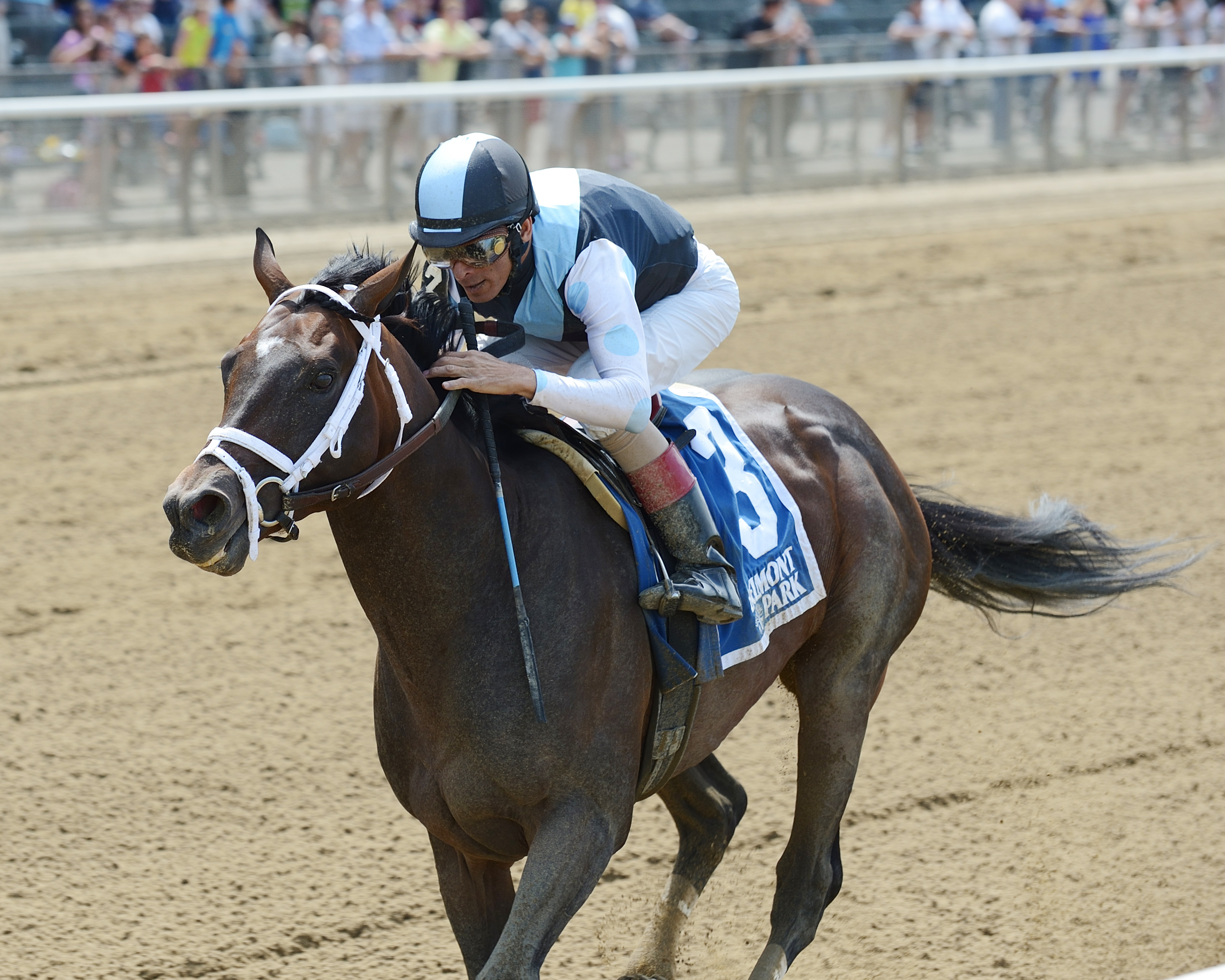 Comfort wins the State Dinner Stakes