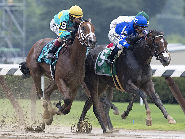 Comical wins the 2019 Schuylerville at Saratoga Race Course