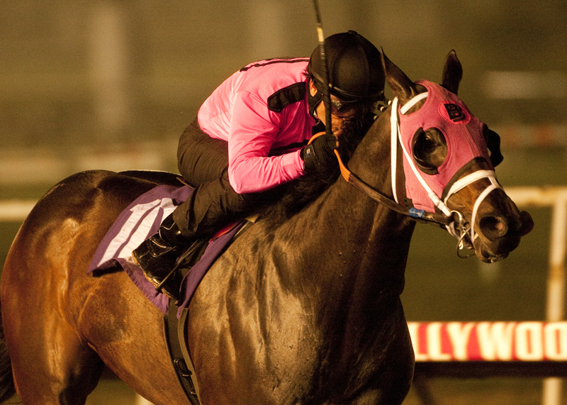 Comma to the Top/CashCall Futurity