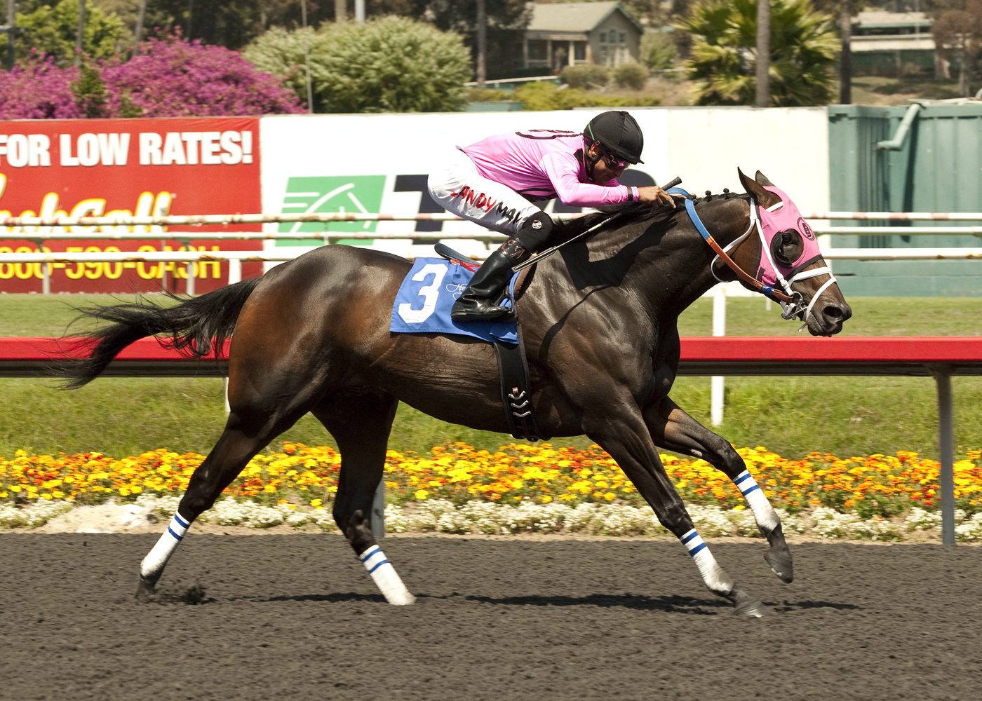 Comma to the Top, Los Angeles Handicap