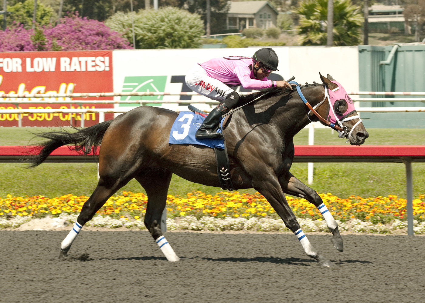 Comma to the Top, Los Angeles Handicap
