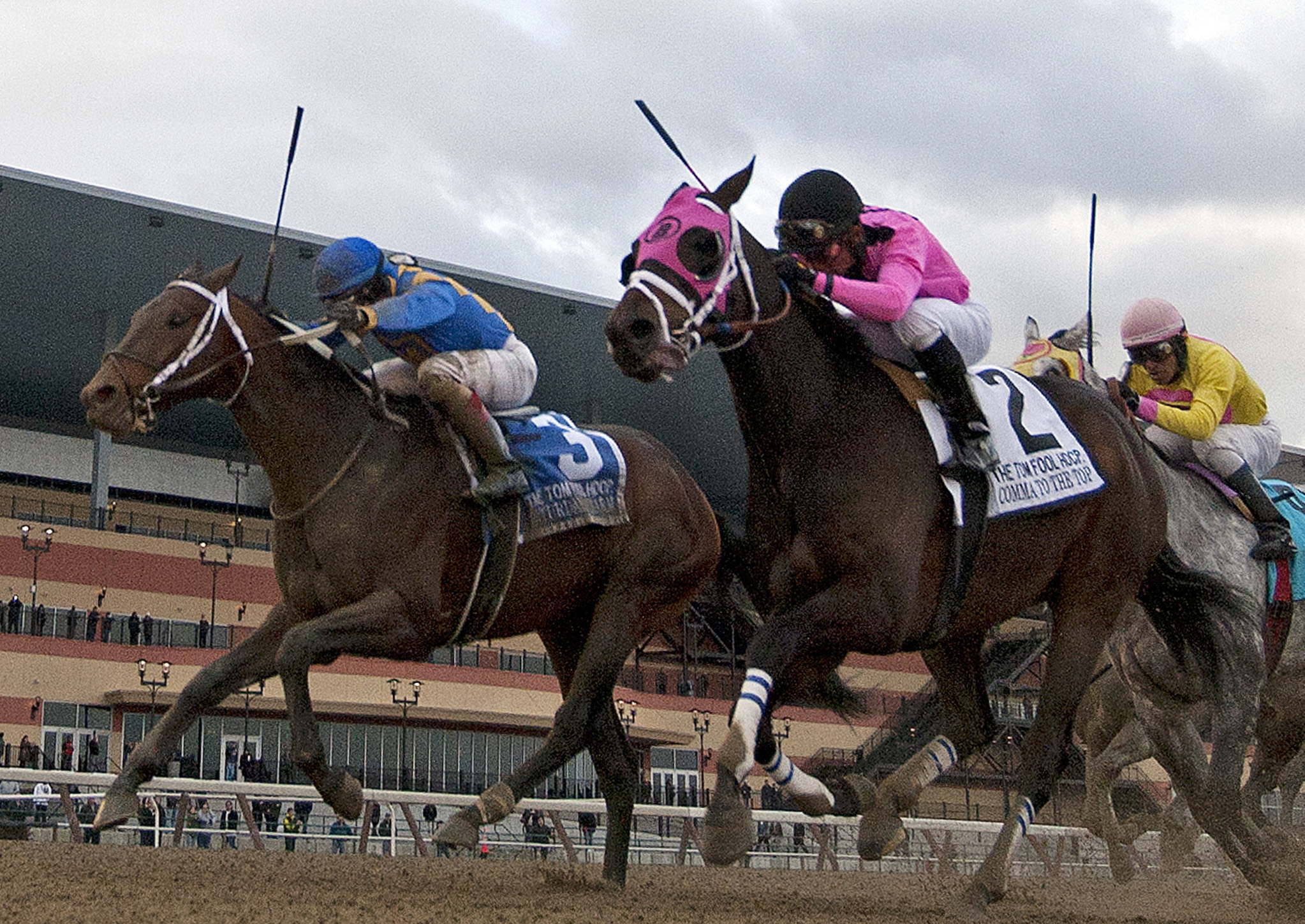Comma to the Top, Tom Fool Handicap