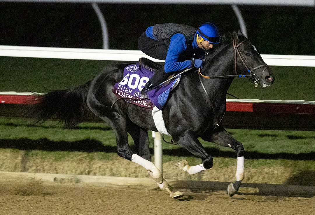 Commander trains at Del Mar in October 2021