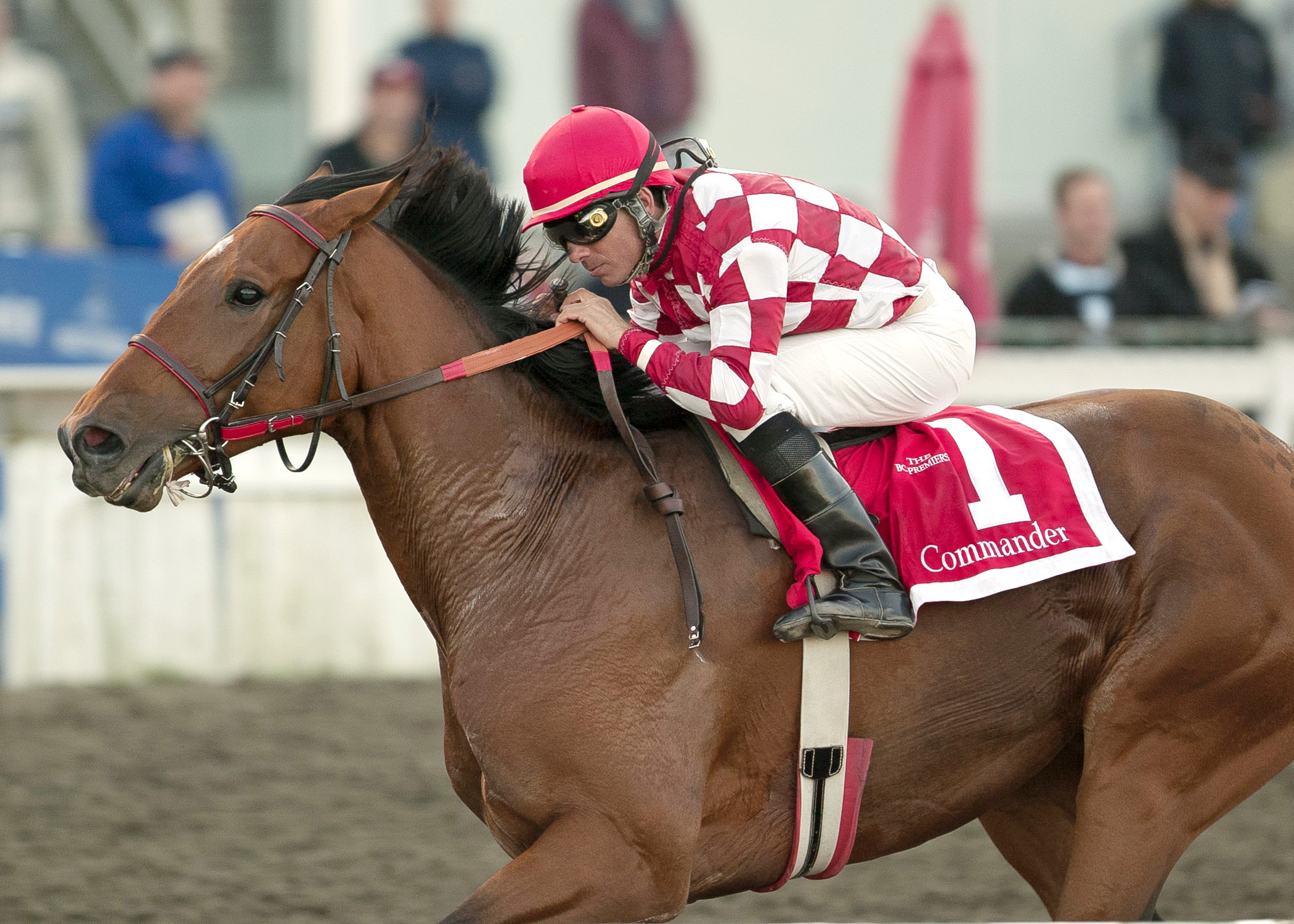 Commander wins the 2013 Premier's Handicap